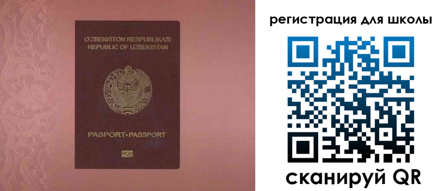 прописка для школы в Электроуглях